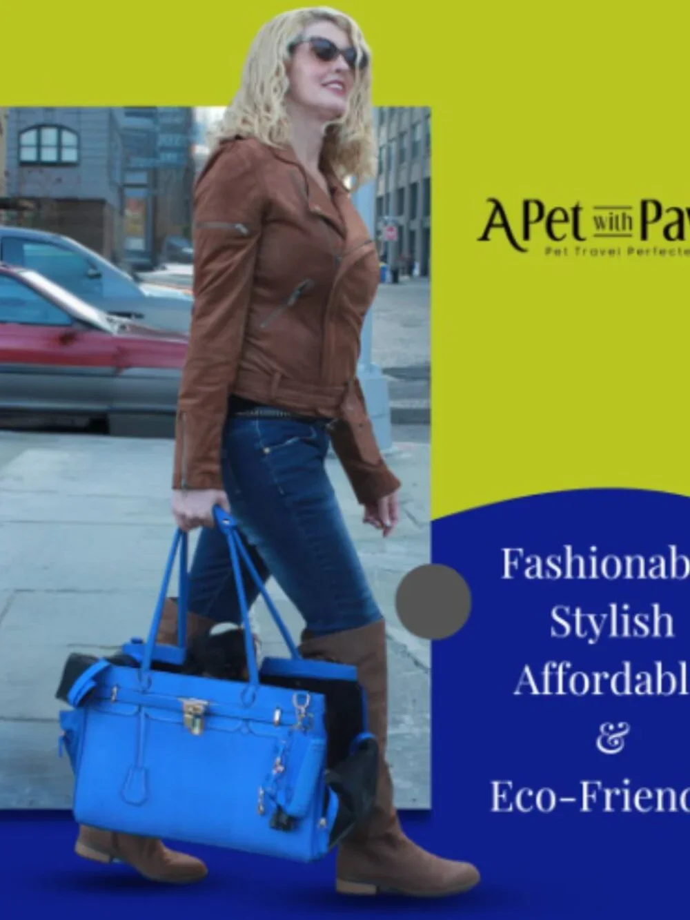 Luxury Airline-Approved Pet Carrier – Like New – Designer Handbag Style